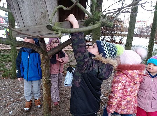 Gr. I i II " Pamiętamy o głodnych ptaszkach z naszej osady"