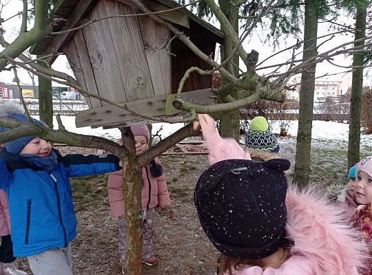 Gr. I i II " Pamiętamy o głodnych ptaszkach z naszej osady"