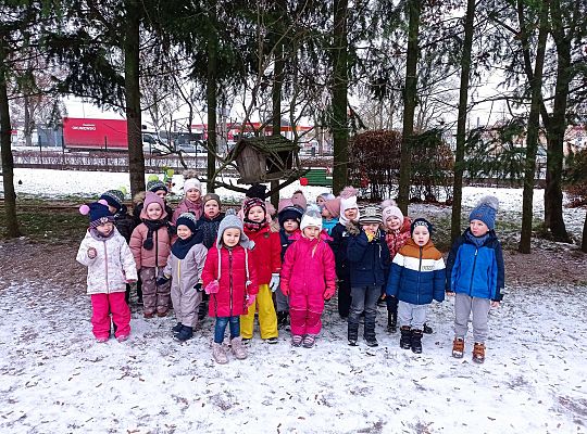 Gr. I i II " Pamiętamy o głodnych ptaszkach z naszej osady"