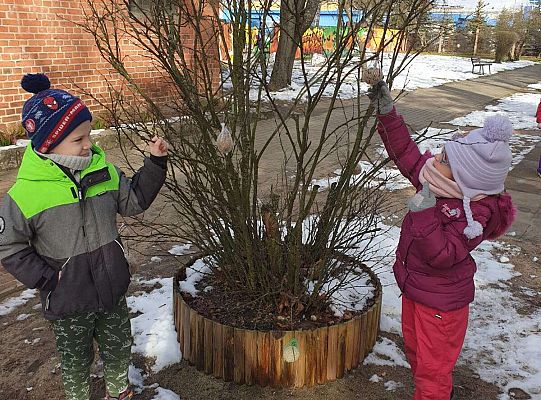 Chłopiec i dziewczynka zawieszają na krzaczku karmę dla ptaków