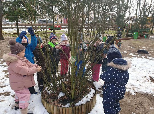 Grupa dzieci zawiesza karmę dla ptaków na krzaku w ogrodzie przedszkolnym