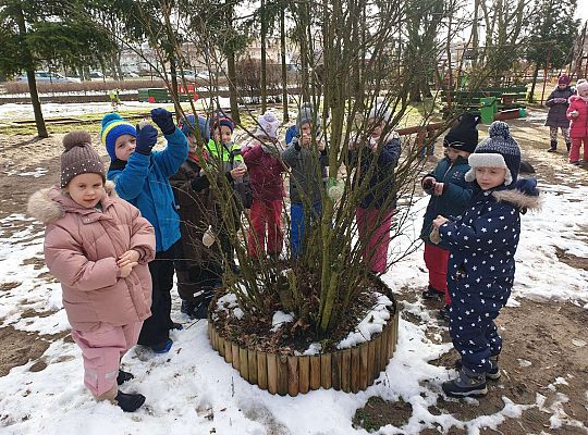 Grupa dzieci zawiesza karmę dla ptaków na krzaku w ogrodzie przedszkolnym