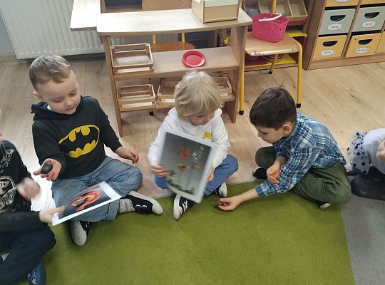 Dzieci oglądają obrazki