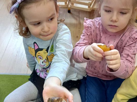 Dzieci oglądają bursztyn