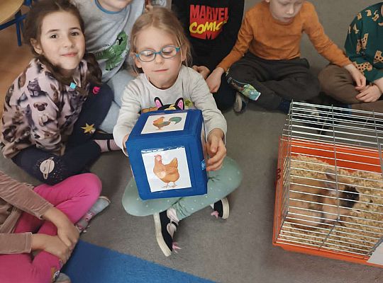 Dziewczynka losuje zwierzęta na kostce