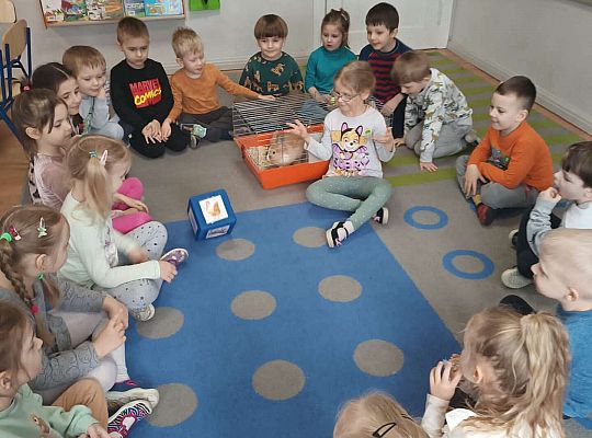 Dziewczynka losuje zwierzęta na kostce