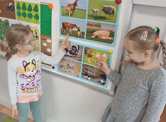 Dzieci prezentują zwierzęta hodowlane