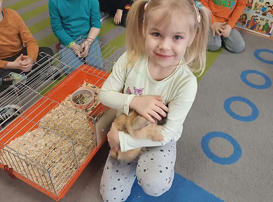 Dziewczynka prezentuje królika