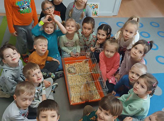 Zdjęcie grupowe z królikiem