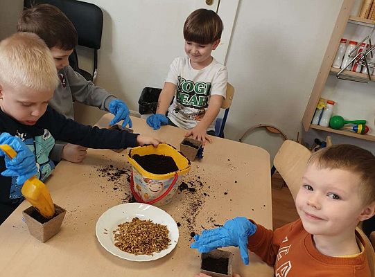 Chłopcy przygotowują ziemię do siania