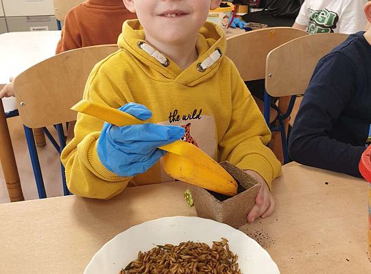 Chłopiec przygotowuje ziemię do siania