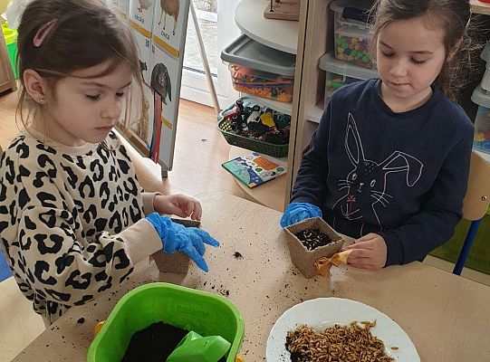 Dzieci przygotowują ziemię do siania