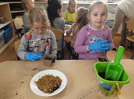 Dzieci przygotowują ziemię do siania