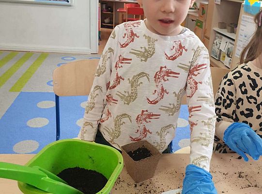 Chłopiec sieje owies