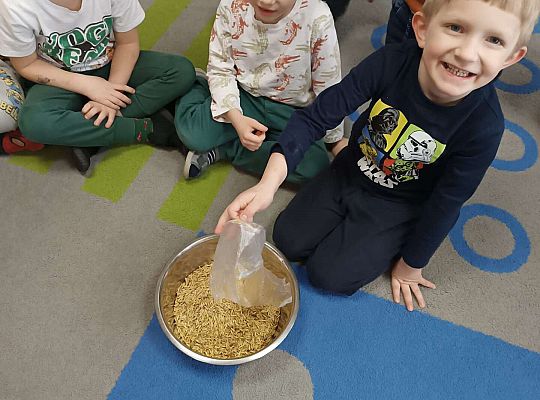 Dzieci przygotowują owies do posiania