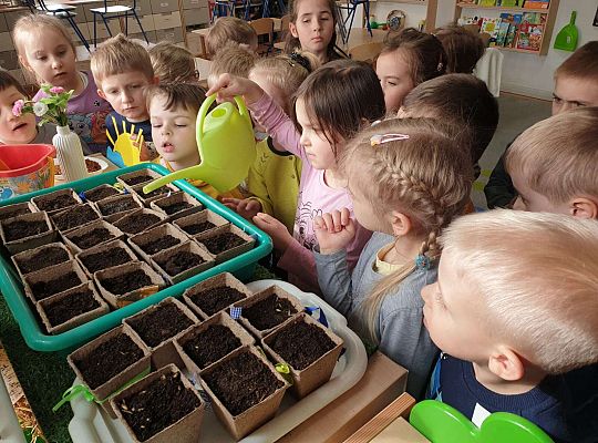 Dzieci podlewają posiany owies