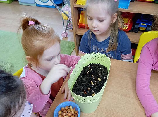 Dzieci sadzą cebulki