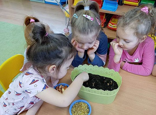 Dzieci sadzą cebulki