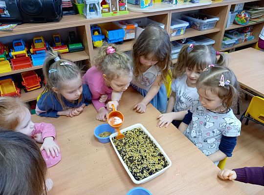 Dzieci podlewają  owies