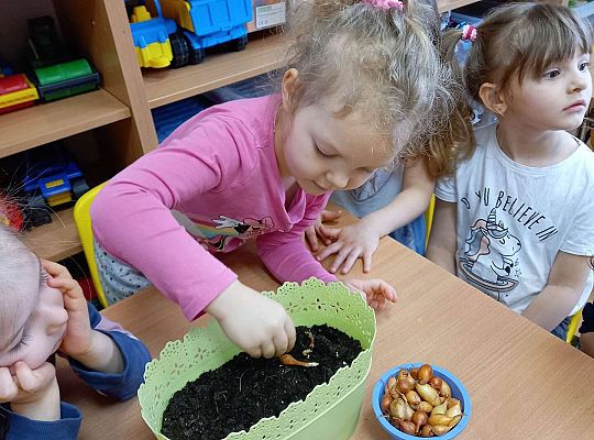 Dzieci sadzą cebulki