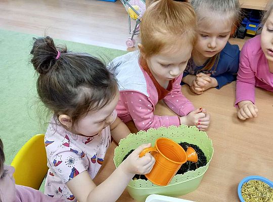 Dzieci podlewają cebulki