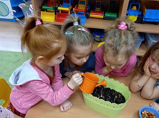 Dzieci podlewają cebulki