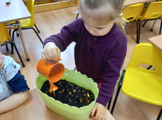 Dzieci podlewają cebulki