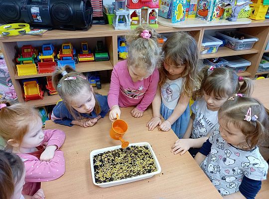 Dzieci podlewają  owies