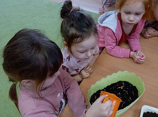 Dzieci podlewają cebulki