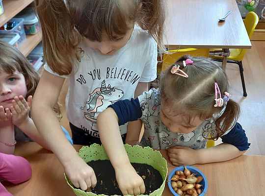 Dzieci sadzą cebulki
