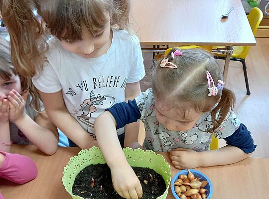 Dzieci sadzą cebulki