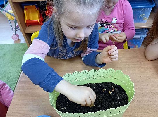 Dzieci sadzą cebulki