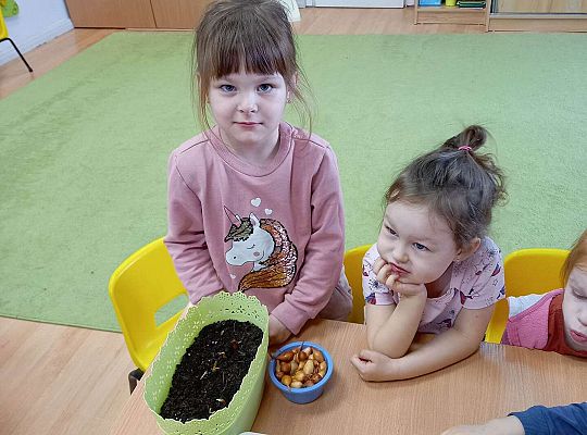 Dzieci sadzą cebulki