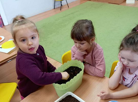 Dzieci sadzą cebulki