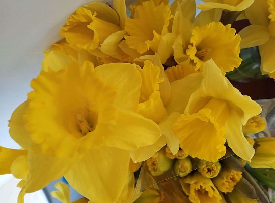 #ŻonkilowaBliskość