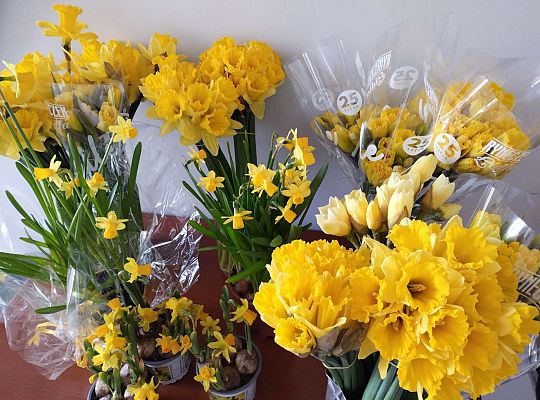 #ŻonkilowaBliskość