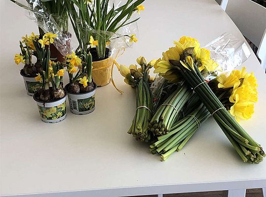 #ŻonkilowaBliskość