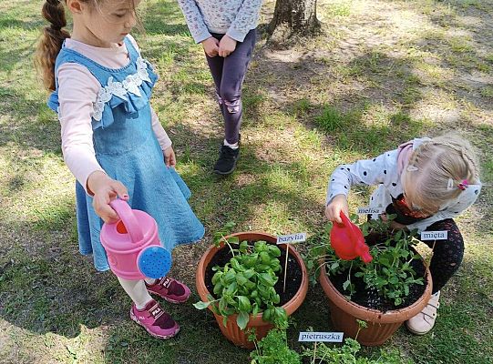 Dziewczynki sadzą zioła