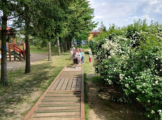 Dzieci chodzą po ścieżce sensorycznej