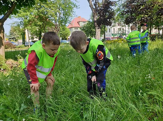 Dzieci obserwują życie na łące