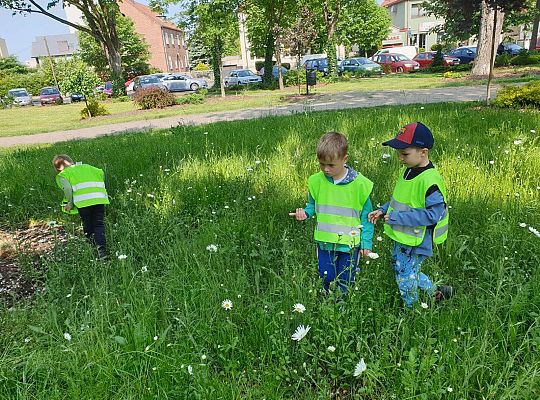 Dzieci obserwują życie na łące