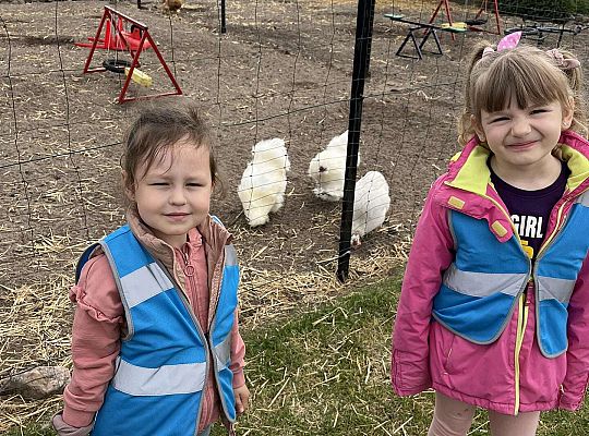 Dzieci oglądają zwierzęta