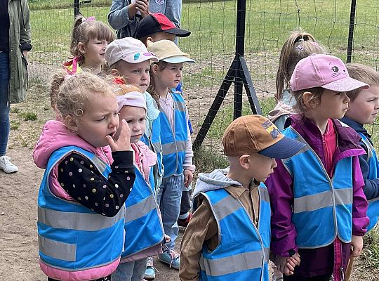 Dzieci oglądają zwierzęta