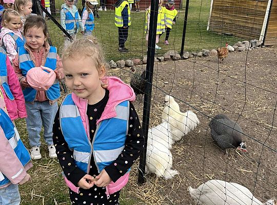 Dzieci oglądają zwierzęta