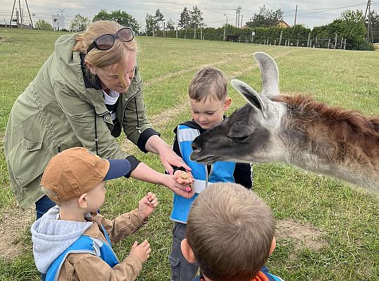 Dzieci karmią zwierzęta