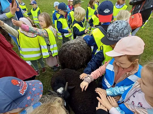 Dzieci karmią zwierzęta