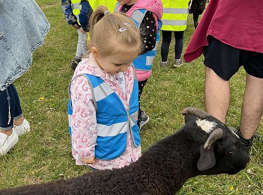 Dzieci karmią zwierzęta