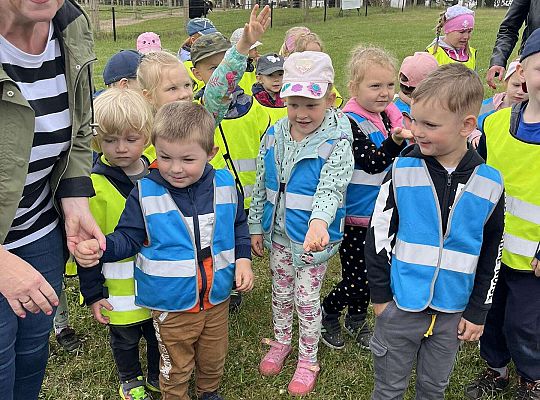 Dzieci karmią zwierzęta