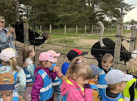 Dzieci oglądają zwierzęta