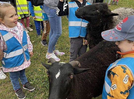 Dzieci karmią zwierzęta